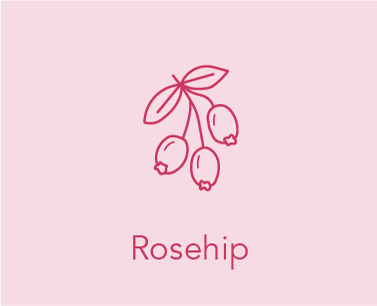 Rosehip